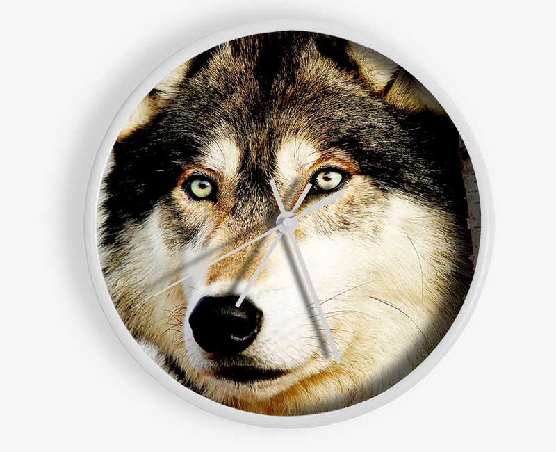 Wolf Glare Clock - Wallart-Direct UK