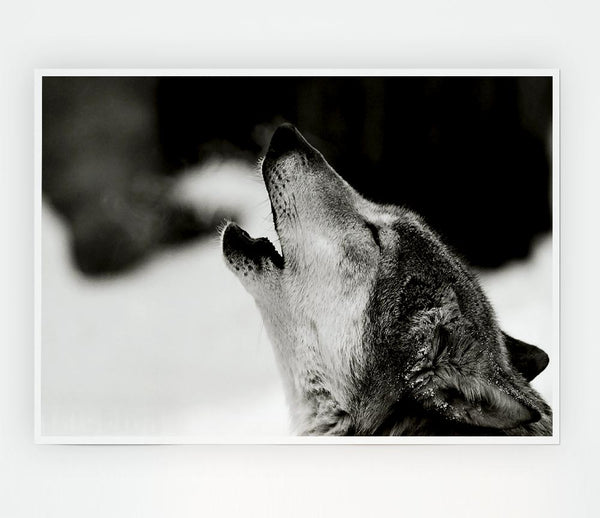 Wolf Howl Print Poster Wall Art