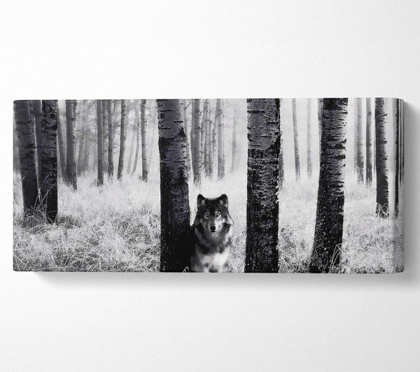 Wolf im Wald