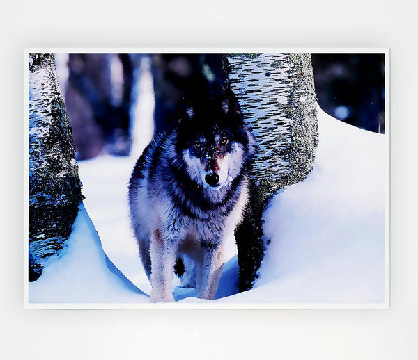 Wolf In The Snow Print Poster Wall Art
