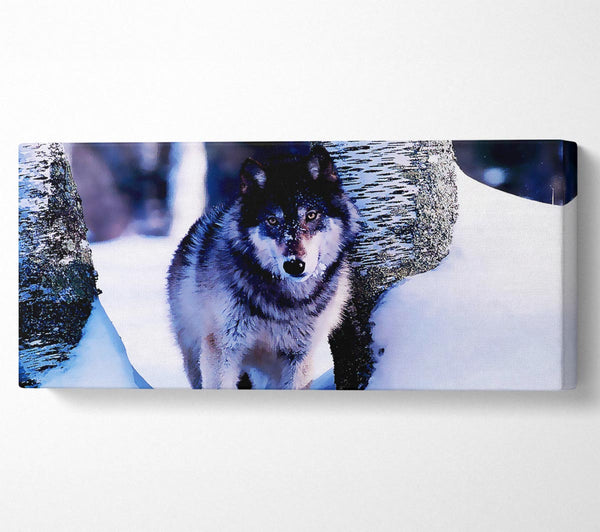 Wolf im Schnee