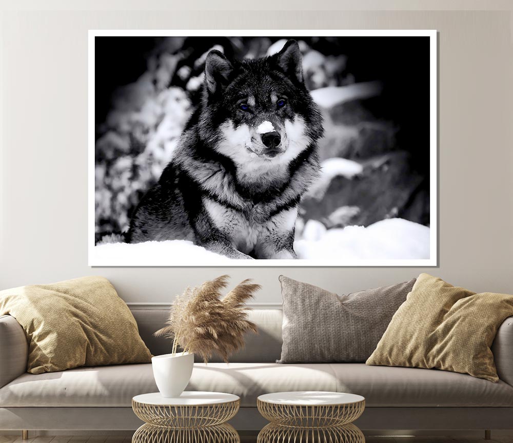 Wolf In Winter Print Poster Wall Art