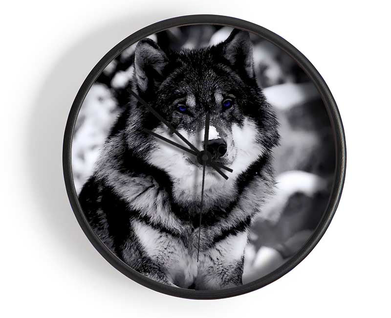 Wolf In Winter Clock - Wallart-Direct UK