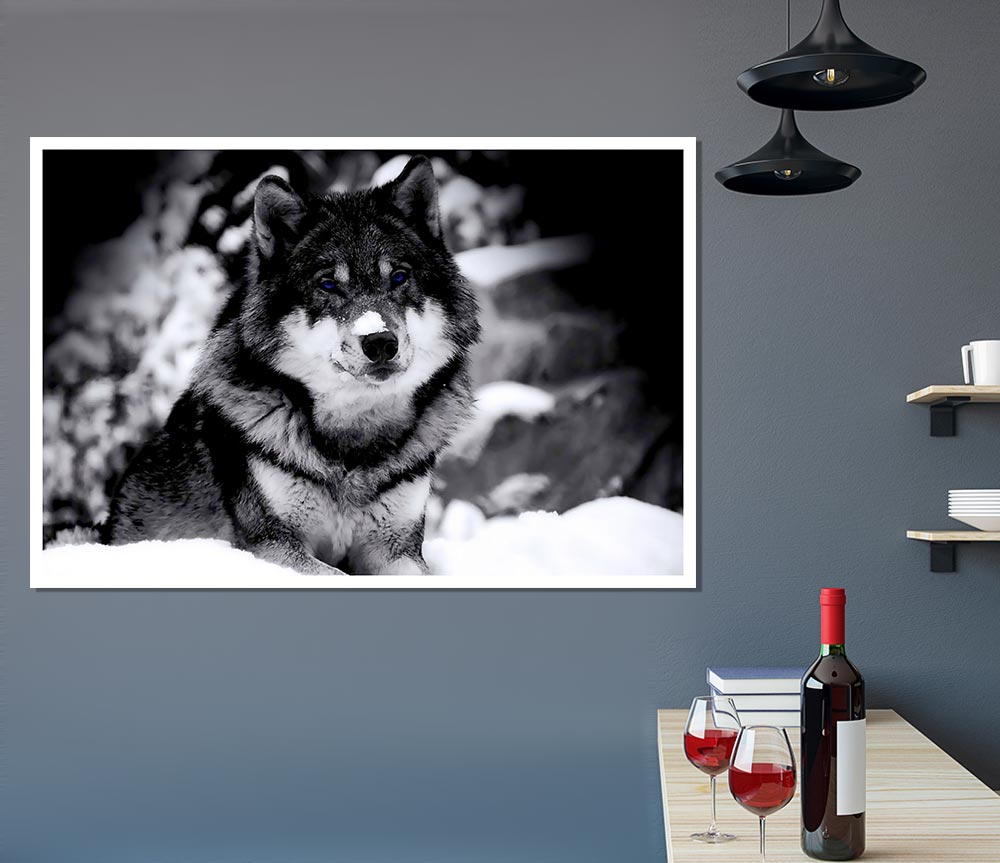 Wolf In Winter Print Poster Wall Art