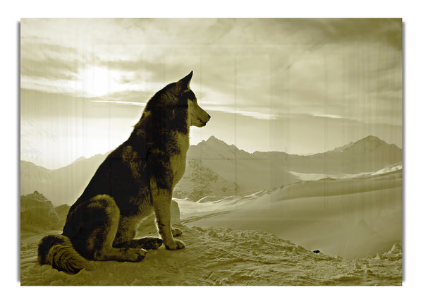 Wolf Mountain