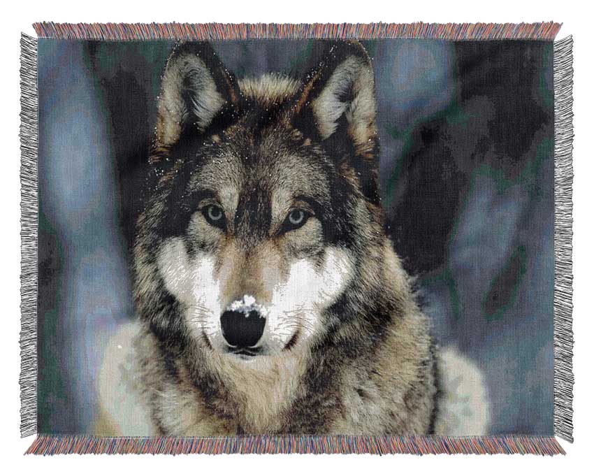 Wolf Snow Nose Woven Blanket