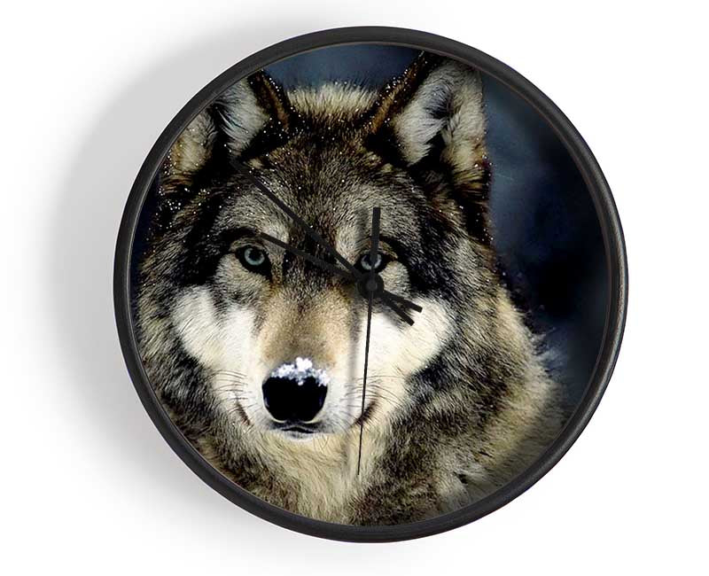 Wolf Snow Nose Clock - Wallart-Direct UK