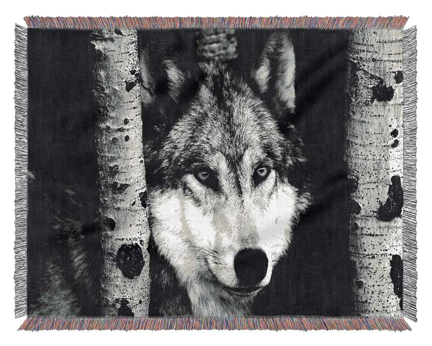 Wolf Stare Woven Blanket