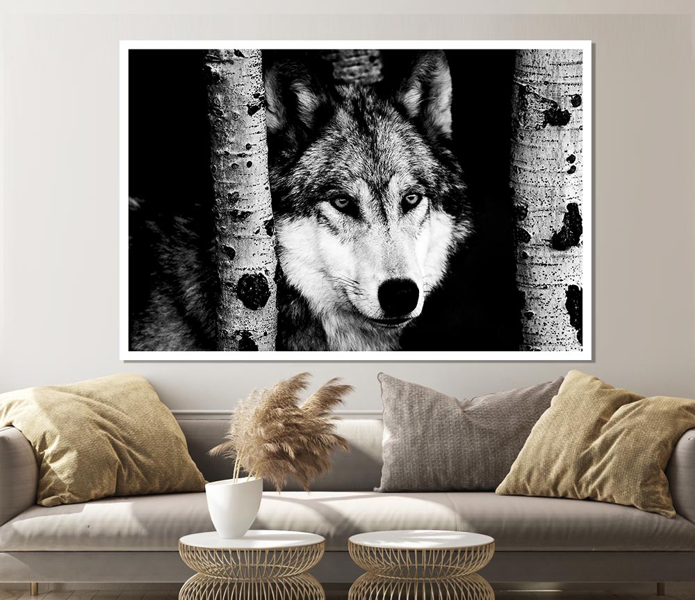 Wolf Stare Print Poster Wall Art
