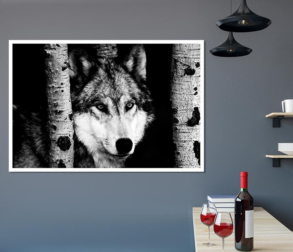 Wolf Stare Print Poster Wall Art