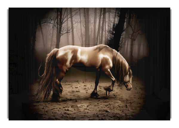 Woodland Horse