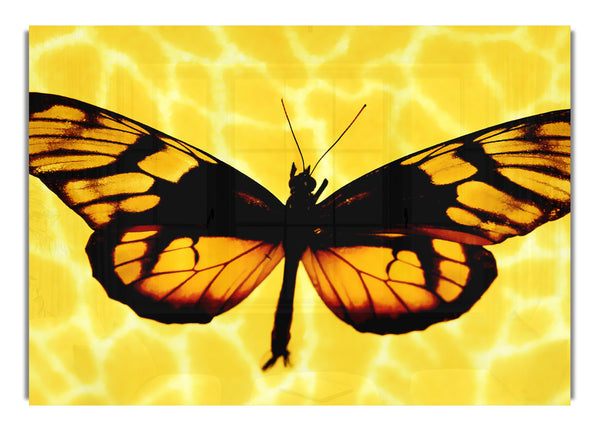 Yellow Butterfly Wings