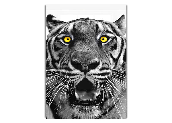 Yellow Tiger Eyes