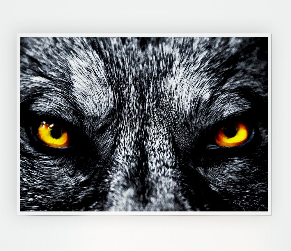 Yellow Wolf Eyes Print Poster Wall Art