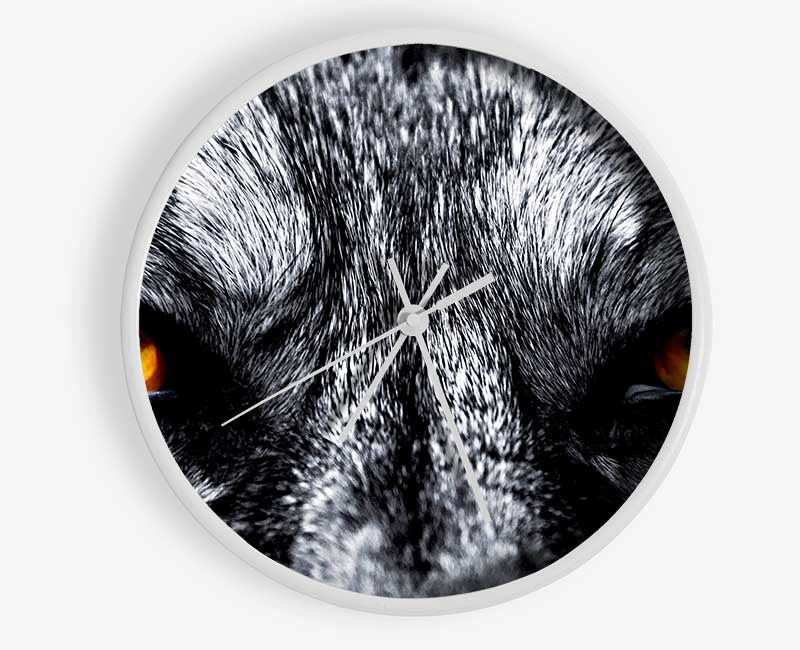 Yellow Wolf Eyes Clock - Wallart-Direct UK