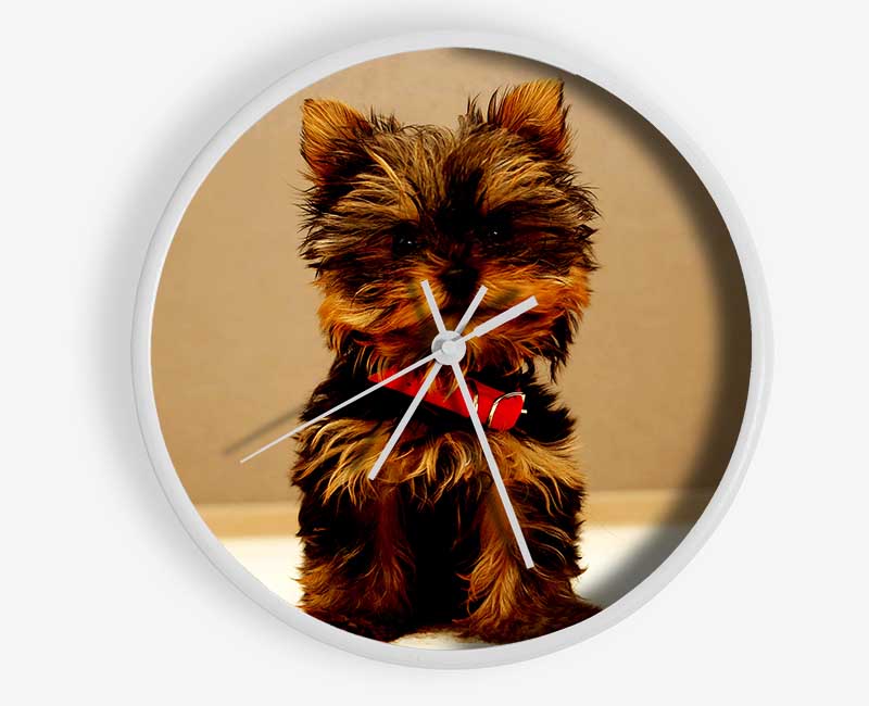 Yorkshire Terrier Puppy Clock - Wallart-Direct UK
