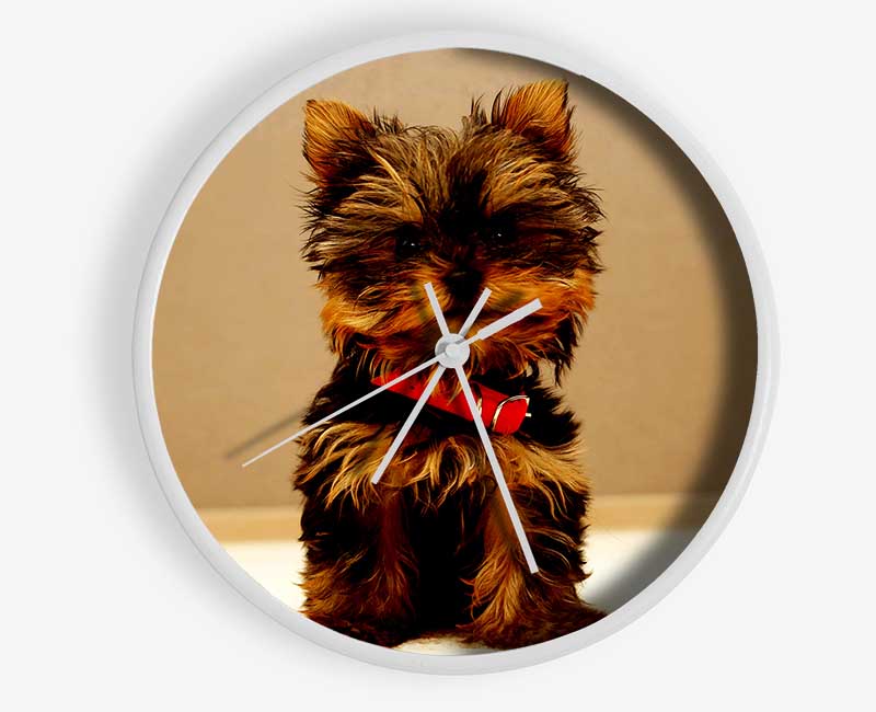 Yorkshire Terrier Puppy Clock - Wallart-Direct UK