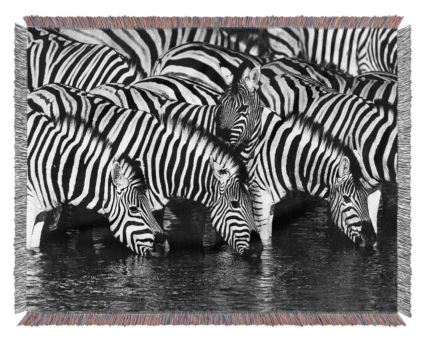 Zebra Drinking Woven Blanket