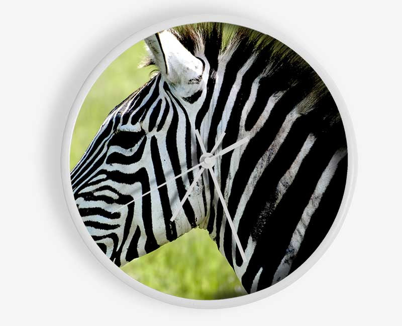 Zebra Face Side Clock - Wallart-Direct UK