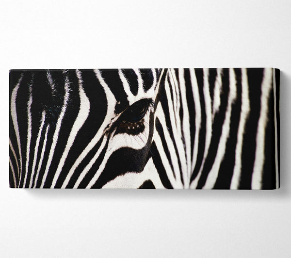 Zebragesicht