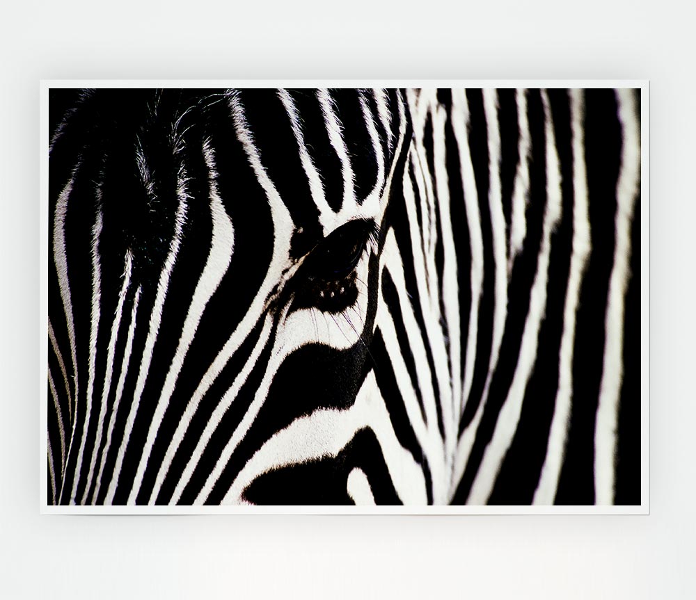 Zebra Face Print Poster Wall Art