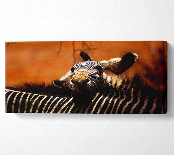 Liebe der Zebrafamilie