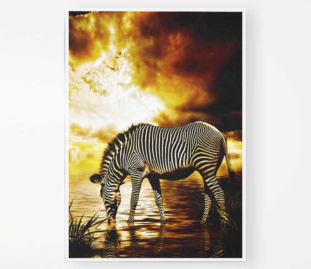 Zebra In The Golden River Print Poster Wall Art