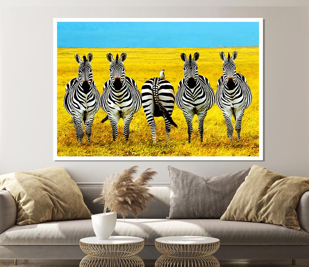 Zebra Line Up Print Poster Wall Art