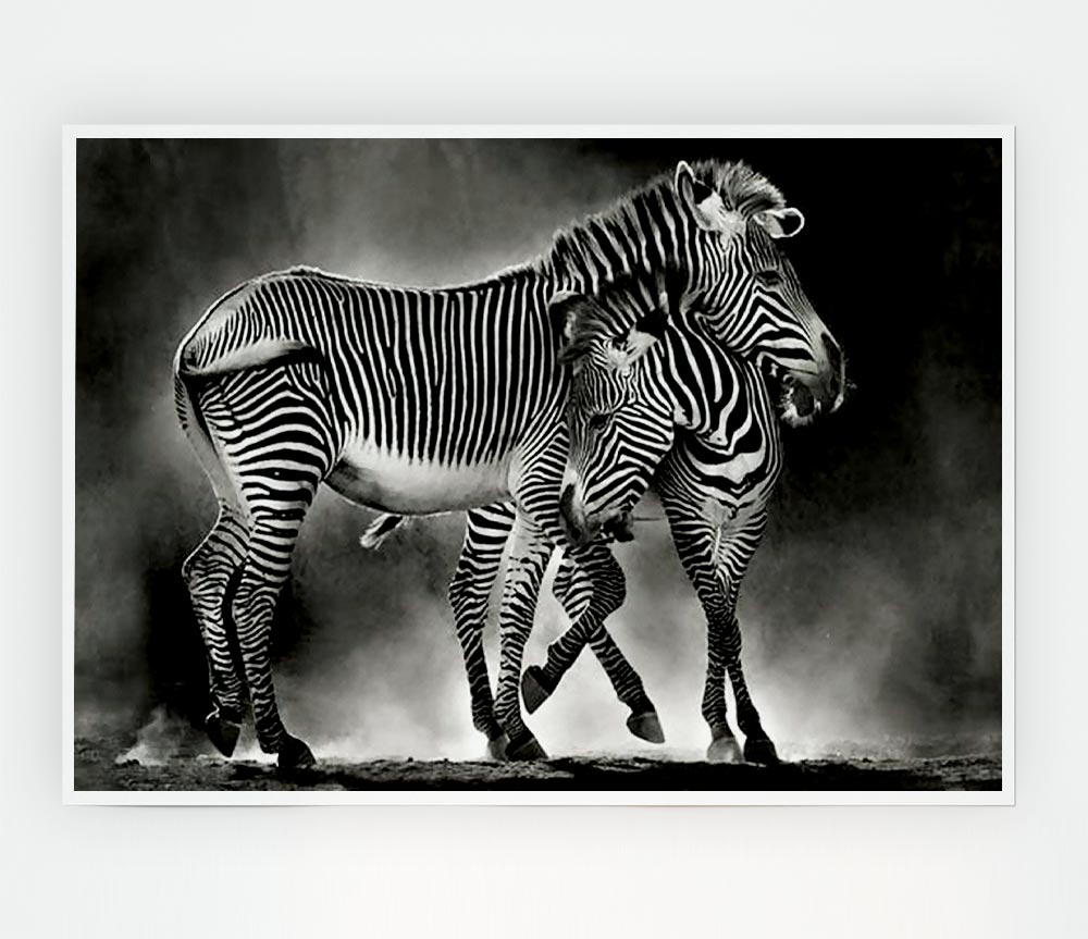 Zebra Love Print Poster Wall Art