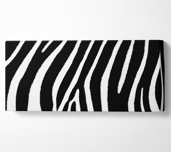 Zebramuster B und W