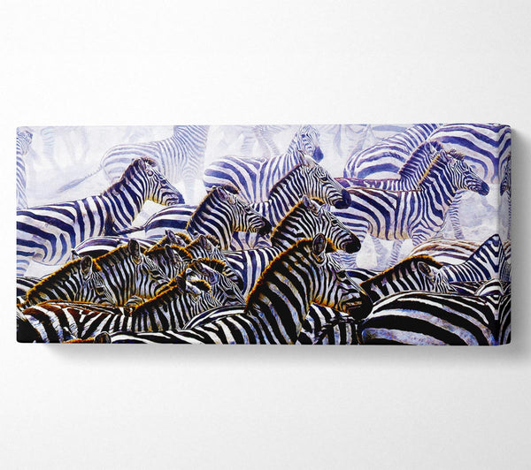 Zebra-Stampede