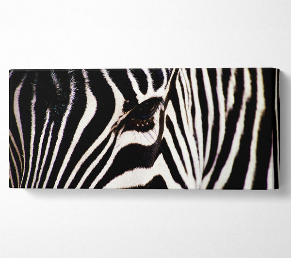 Zebrablick