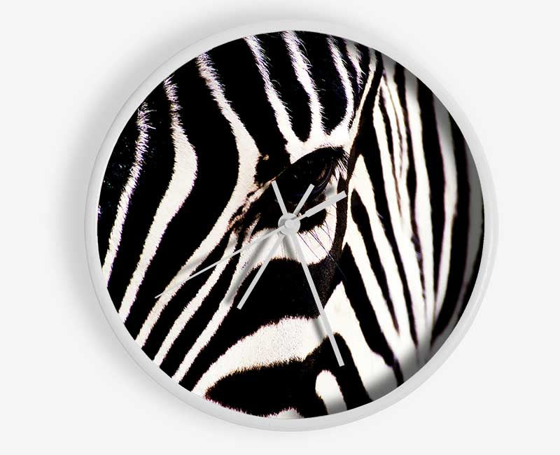Zebra Stare Clock - Wallart-Direct UK