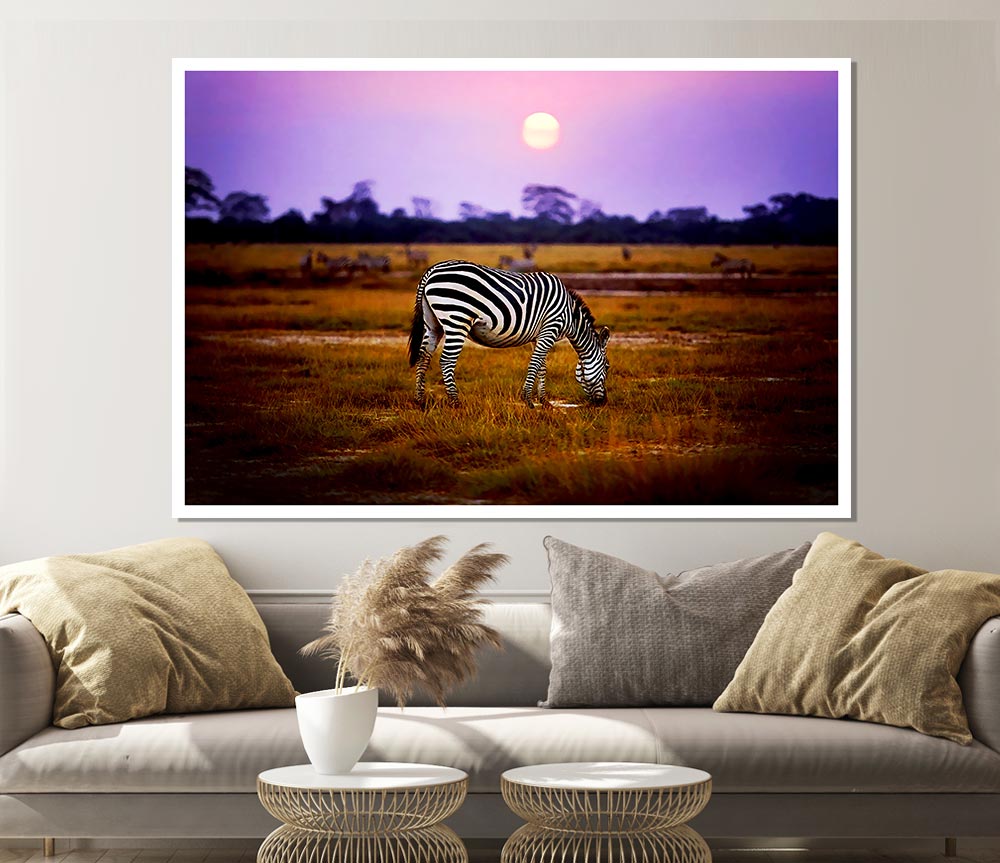 Zebra Sunset Print Poster Wall Art