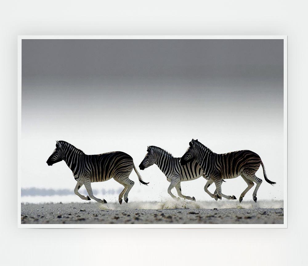 Zebras Ocean Running Print Poster Wall Art