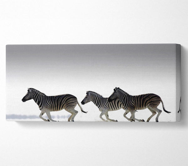 Zebras im Ozean