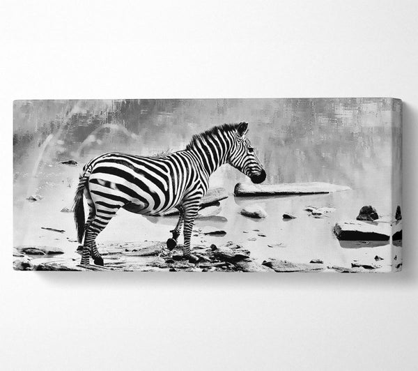 Zebras Wasserloch B n W
