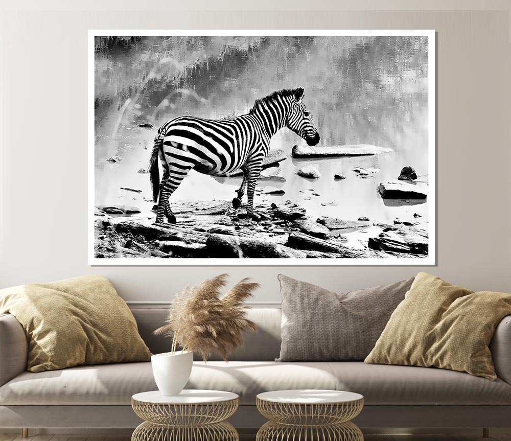 Zebras Watering Hole B N W Print Poster Wall Art