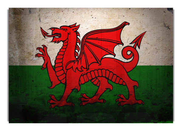Drache von Wales