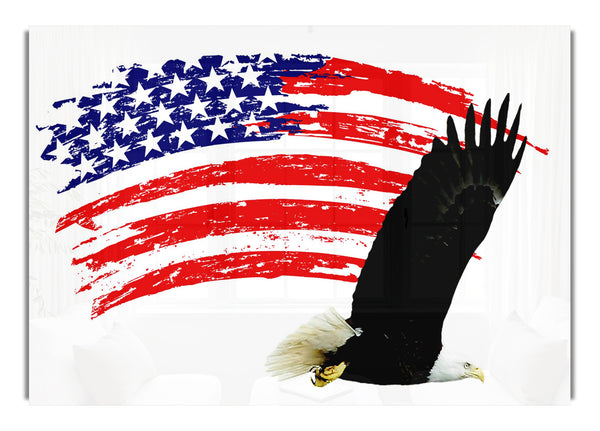 Adler Freiheit