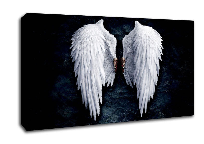 Picture of Angel Wings Wide Canvas Wall Art
