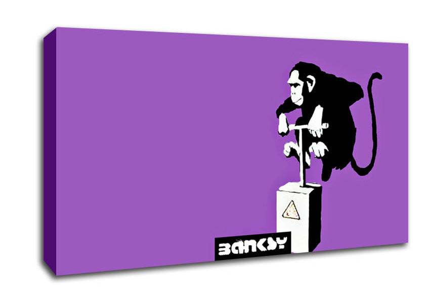 Picture of Monkey Detonator Purple Wide Canvas Wall Art