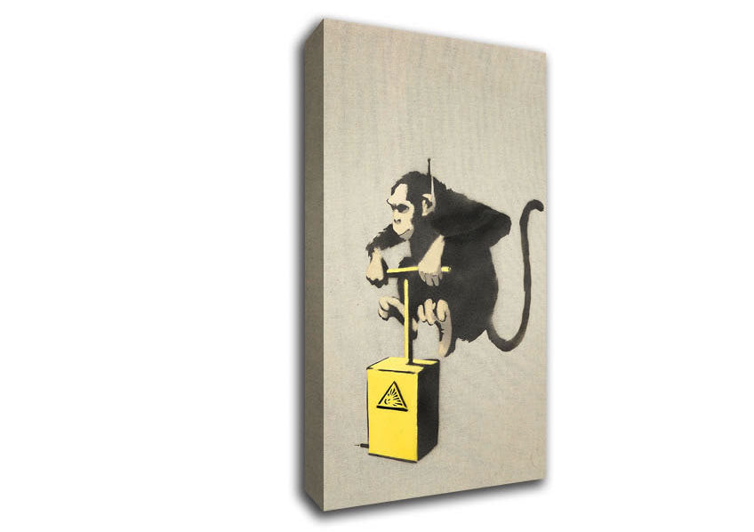 Picture of Monkey Detonator Wide Canvas Wall Art