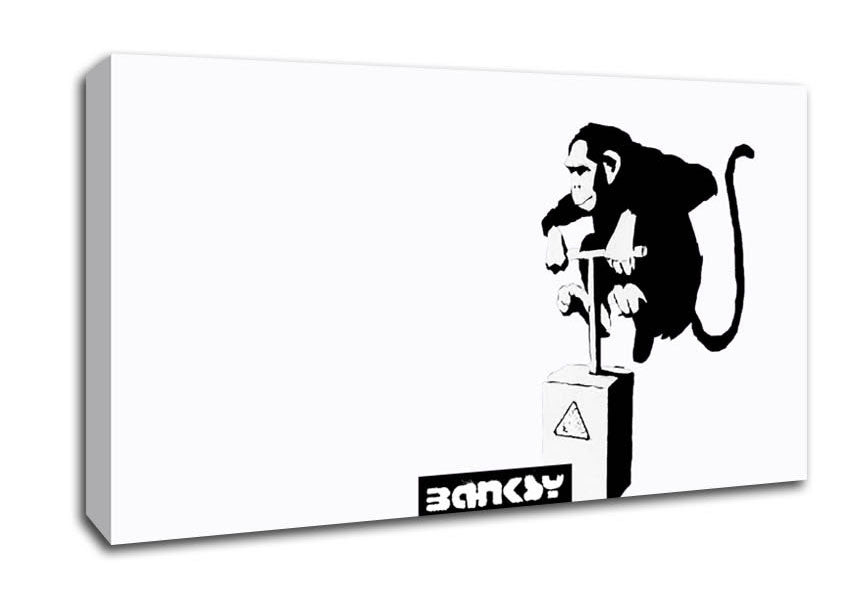 Picture of Monkey Detonator White Wide Canvas Wall Art