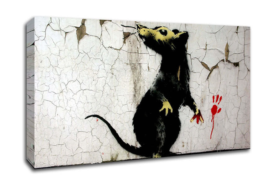 Picture of Rat Paw Wide Canvas Wall Art