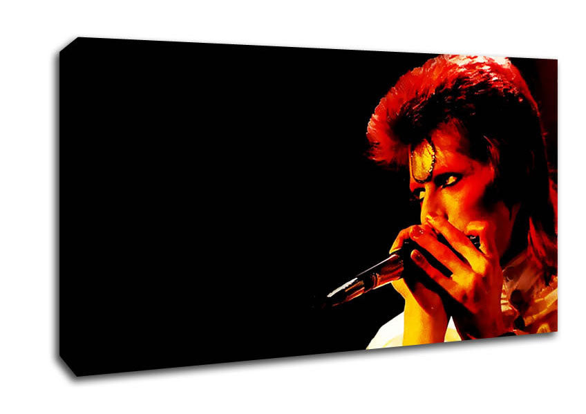 Picture of David Bowie Ziggy Pop Wide Canvas Wall Art