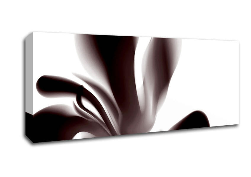 Picture of Chocolate Petals Panoramic Canvas Wall Art