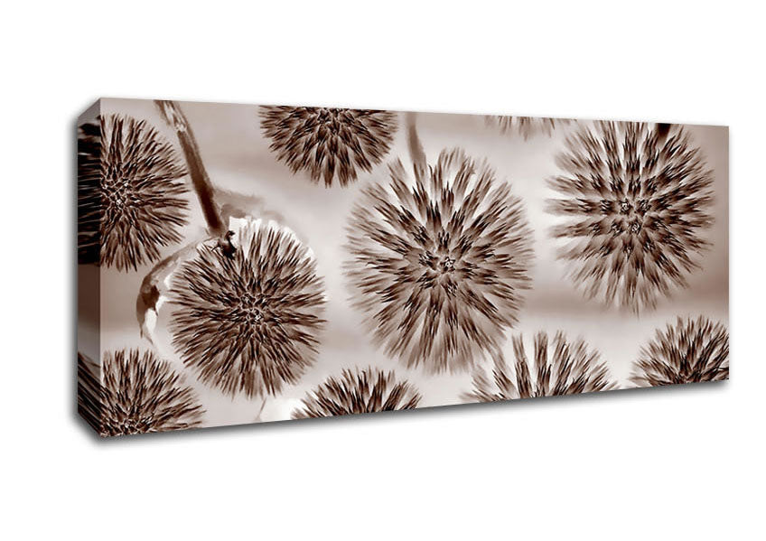 Picture of Dandelion Dream Chocolate Panoramic Canvas Wall Art