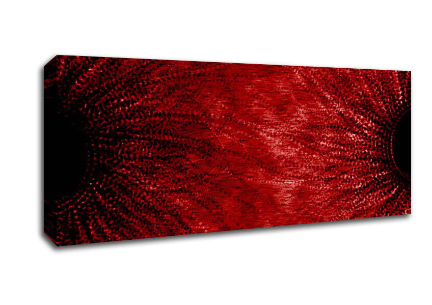 Picture of Duo Red Panoramic Canvas Wall Art