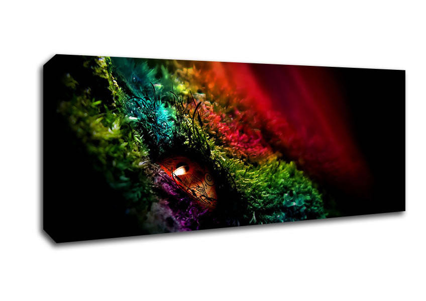 Picture of Eye Of The Rainbow Panoramic Canvas Wall Art